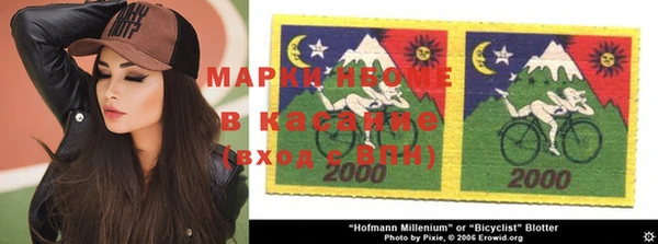 прущие грибы Балабаново
