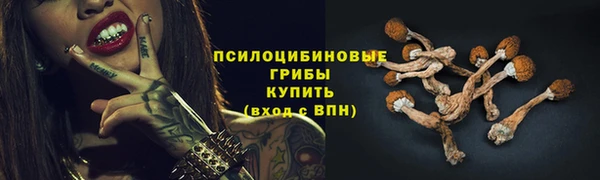 СК Балахна