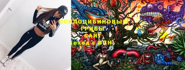 прущие грибы Балабаново