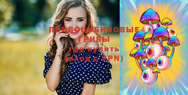 СК Балахна